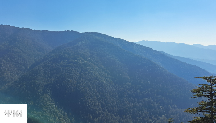 Shimla Valentine day escape from delhi